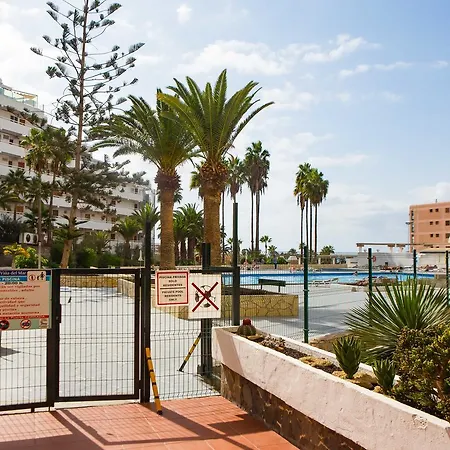 Modern In Las Americas La/88 *
